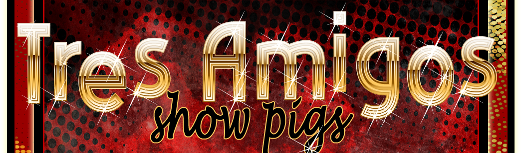 Tres Amigos Show Pigs