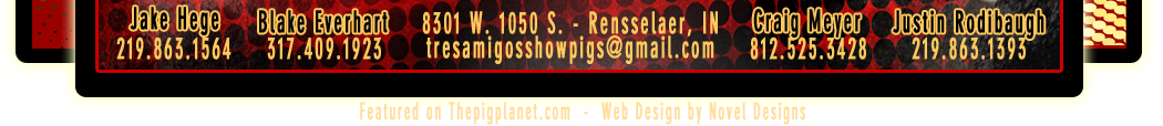 Tres Amigos Show Pigs